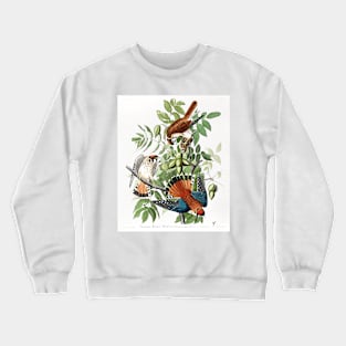 American Sparrow Hawk from Birds of America (1827) Crewneck Sweatshirt